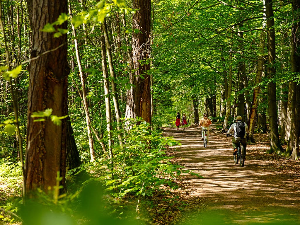 Fahrradverleih